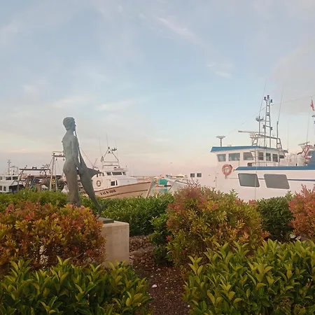Comfortable Righ In Centre, Near & Port ,wifi Dénia